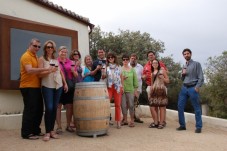 Visita Bodegas en Ribera del Duero