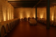 Visita y cata de vinos en Ciudad Real - 2 personas