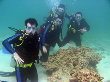 Immersione nel mare della Calabria