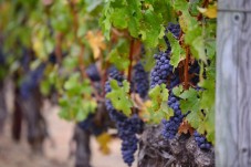 La Rioja