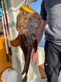 Pesca embarcada privada en Lisboa para hasta 6 personas