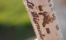 Cata de Vino en la Bodega Le Bignele para 2