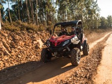 Buggy Off Road (1h00) - Grupo 100 pessoas (sinal 25% para fecho de reserva)