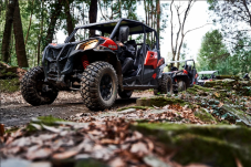 Experiencia Off-Road en Buggy en Oporto