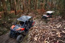 Porto Buggy Off-Road Experience