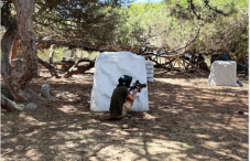 Laser Tag para 10 pessoas em Sintra