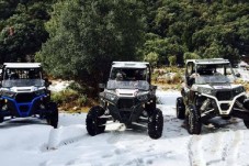 Buggy Marbella