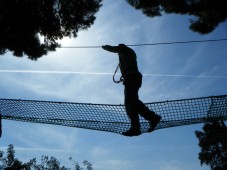 Aventura en los árboles en Sevilla