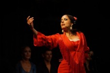 Cena y espectáculo flamenco - Madrid