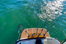 Pesca embarcada privada en Lisboa para hasta 6 personas