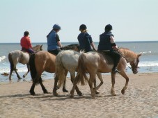 Caballos con historia