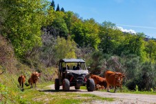Aventura en buggy 4x4 en el Gerês (Parque Nacional de Peneda - Geres)