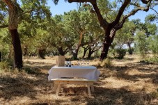 Prova de Vinhos Deluxe, Visita à Adega e Safari na Herdade de Coelheiros p/2