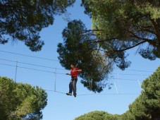 Circuito aéreo forestal - Último nivel