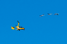 Vuelo en ULM - Algarve, Portugal