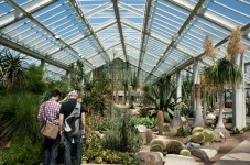 Kew Gardens Admission Ticket