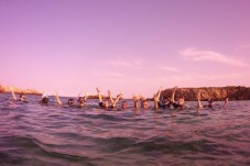 Snorkel en Menorca | Islas Baleares