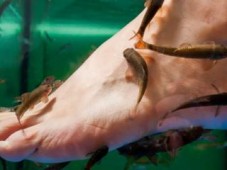 Trattamento Fishing ai piedi & Soggiorno 1 Notte