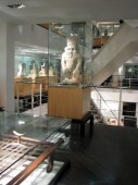 Museo Egipcio de Barcelona - Reducida (+65, 15-18)