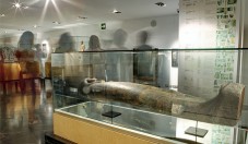 Museo Egipcio de Barcelona - Adulto (18-65)