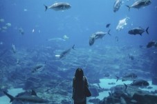 Visite de l'Aquarium de Paris - Paris (75) 