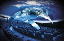 Family Pack + 3D Cinema Aquadome