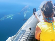 Safari de Golfinhos e Grutas p/ 2 adultos + 2 crianças