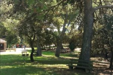 Billet pour le Parc animalier de la Barben - PACA (13)
