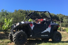 Ruta en Buggy Off Road en Cataluña