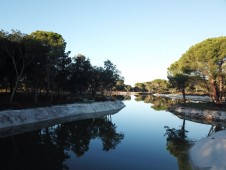 Tour en Buggy Off Road en Comporta