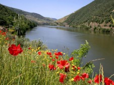 Douro River Cruise