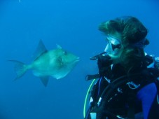 Bautismo buceo en Almería