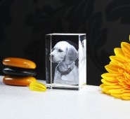 Cristal 3D Personalizado - Grabado a Láser