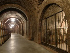 Visita Bodegas en Ribera del Duero