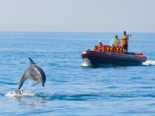 Safari de Golfinhos e Grutas p/ 2 adultos + 2 crianças