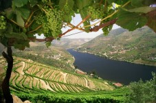 Grande croisière sur le fleuve Douro 2 jours - Enfants jusqu'à 10 ans