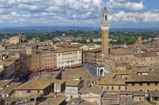 Private tour from Florence with lunch