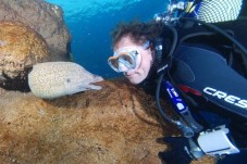 Buceo con Tiburones en Palma - Sin Licencia de Buceo