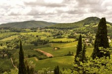 Private tour from Florence with lunch