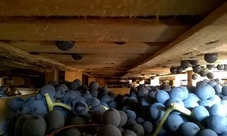 Cata de Vino en la Bodega Le Bignele para 2