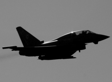 Vuelo en caza