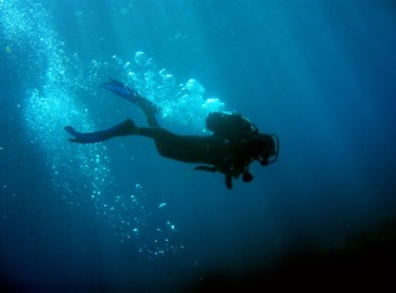 Buceo en verano