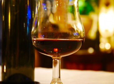 Cata de vino este otoño