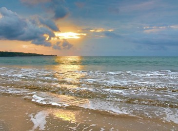 Verano 2012