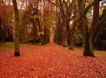 Qué hacer este otoño