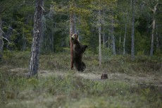 Experiencias en la naturaleza y orientación