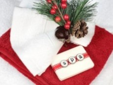 Spa Navidad