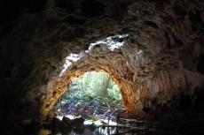 Espeleología